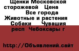 Щенки Московской сторожевой › Цена ­ 35 000 - Все города Животные и растения » Собаки   . Чувашия респ.,Чебоксары г.